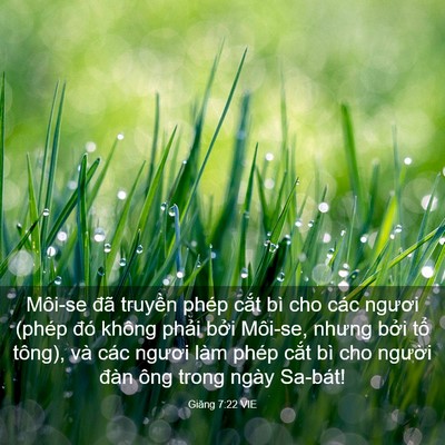 Picture 03 - Giăng 7:22 VIE - Môi-se đã truyền phép cắt bì cho các - Bible Verse Picture