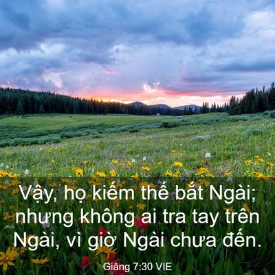 Picture 03 - Giăng 7:30 VIE - Vậy, họ kiếm thế bắt Ngài; nhưng - Bible Verse Picture