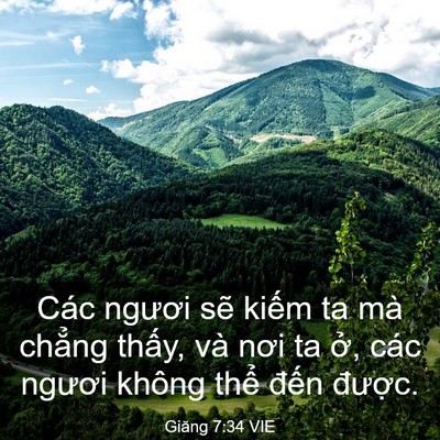 Picture 03 - Giăng 7:34 VIE - Các ngươi sẽ kiếm ta mà chẳng thấy, - Bible Verse Picture