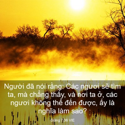 Picture 03 - Giăng 7:36 VIE - Người đã nói rằng: Các ngươi sẽ tìm - Bible Verse Picture