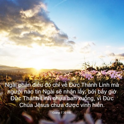 Picture 03 - Giăng 7:39 VIE - Ngài phán điều đó chỉ về Đức Thánh - Bible Verse Picture