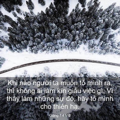 Picture 03 - Giăng 7:4 VIE - Khi nào người ta muốn tỏ mình ra, thì - Bible Verse Picture