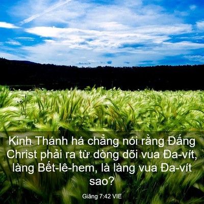 Picture 03 - Giăng 7:42 VIE - Kinh Thánh há chẳng nói rằng Đấng - Bible Verse Picture