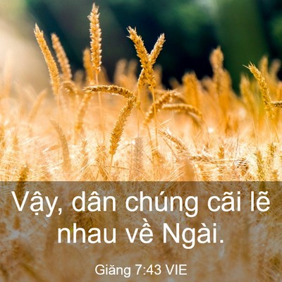Picture 03 - Giăng 7:43 VIE - Vậy, dân chúng cãi lẽ nhau về - Bible Verse Picture