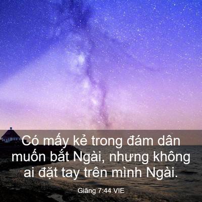 Picture 03 - Giăng 7:44 VIE - Có mấy kẻ trong đám dân muốn bắt - Bible Verse Picture