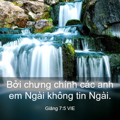 Picture 03 - Giăng 7:5 VIE - Bởi chưng chính các anh em Ngài không tin - Bible Verse Picture