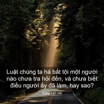 Picture 03 - Giăng 7:51 VIE - Luật chúng ta há bắt tội một người - Bible Verse Picture