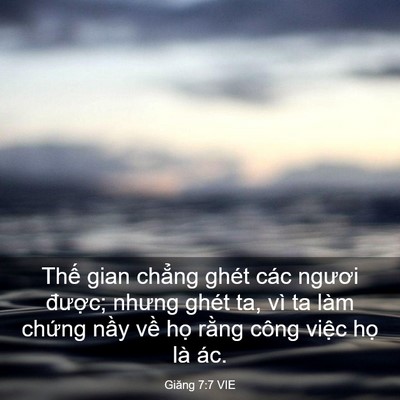 Picture 03 - Giăng 7:7 VIE - Thế gian chẳng ghét các ngươi được; - Bible Verse Picture