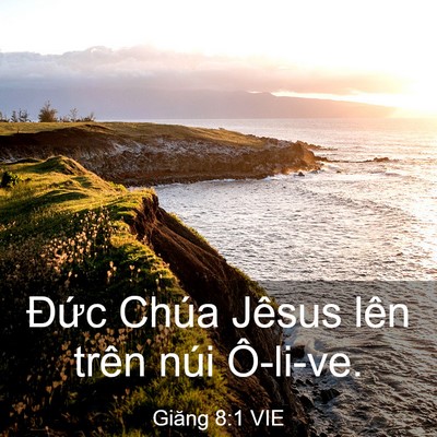 Picture 03 - Giăng 8:1 VIE - Đức Chúa Jêsus lên trên núi - Bible Verse Picture