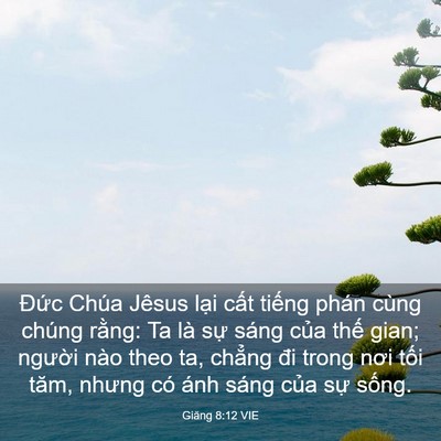 Picture 03 - Giăng 8:12 VIE - Đức Chúa Jêsus lại cất tiếng phán - Bible Verse Picture