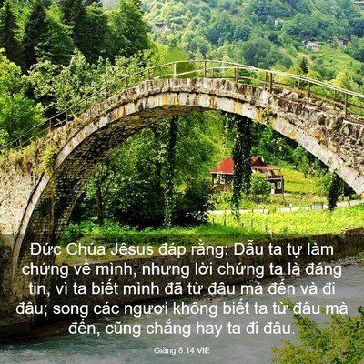 Picture 03 - Giăng 8:14 VIE - Đức Chúa Jêsus đáp rằng: Dẫu ta tự - Bible Verse Picture