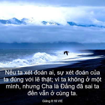 Picture 03 - Giăng 8:16 VIE - Nếu ta xét đoán ai, sự xét đoán của - Bible Verse Picture