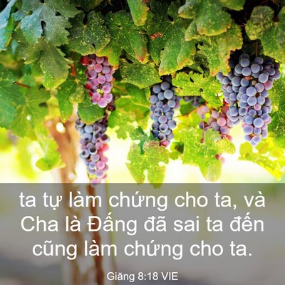 Picture 03 - Giăng 8:18 VIE - ta tự làm chứng cho ta, và Cha là Đấng - Bible Verse Picture