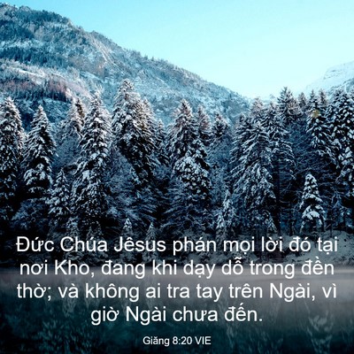 Picture 03 - Giăng 8:20 VIE - Đức Chúa Jêsus phán mọi lời đó tại - Bible Verse Picture