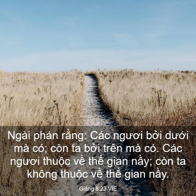 Picture 03 - Giăng 8:23 VIE - Ngài phán rằng: Các ngươi bởi dưới - Bible Verse Picture