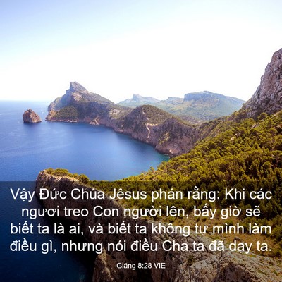 Picture 03 - Giăng 8:28 VIE - Vậy Đức Chúa Jêsus phán rằng: Khi các - Bible Verse Picture