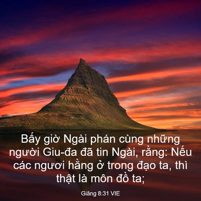 Picture 03 - Giăng 8:31 VIE - Bấy giờ Ngài phán cùng những người - Bible Verse Picture