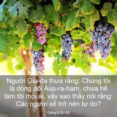 Picture 03 - Giăng 8:33 VIE - Người Giu-đa thưa rằng: Chúng tôi là - Bible Verse Picture