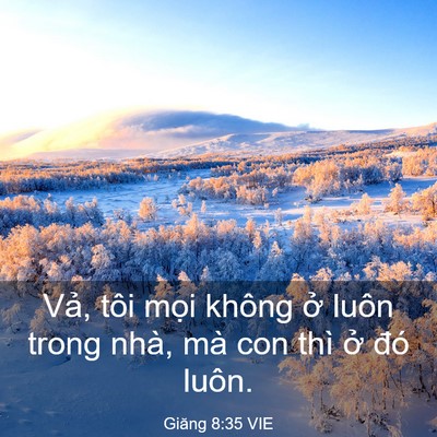 Picture 03 - Giăng 8:35 VIE - Vả, tôi mọi không ở luôn trong nhà, mà - Bible Verse Picture
