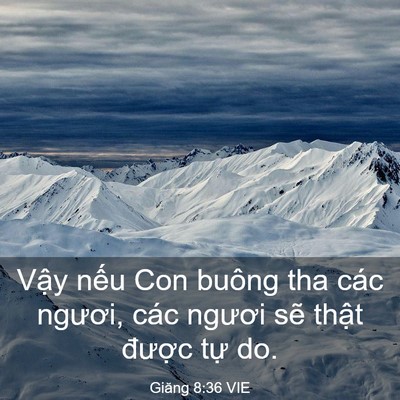 Picture 03 - Giăng 8:36 VIE - Vậy nếu Con buông tha các ngươi, các - Bible Verse Picture