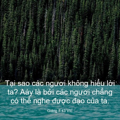 Picture 03 - Giăng 8:43 VIE - Tại sao các ngươi không hiểu lời ta? - Bible Verse Picture