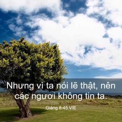 Picture 03 - Giăng 8:45 VIE - Nhưng vì ta nói lẽ thật, nên các ngươi - Bible Verse Picture