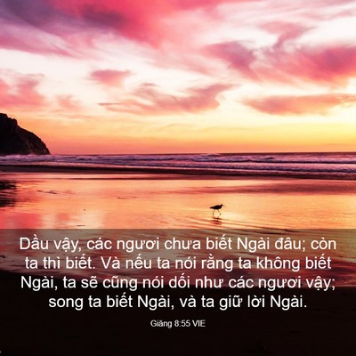 Picture 03 - Giăng 8:55 VIE - Dầu vậy, các ngươi chưa biết Ngài - Bible Verse Picture
