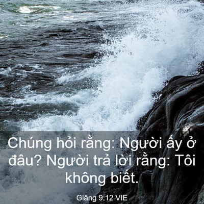Picture 03 - Giăng 9:12 VIE - Chúng hỏi rằng: Người ấy ở đâu? - Bible Verse Picture