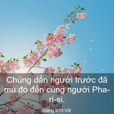Picture 03 - Giăng 9:13 VIE - Chúng dẫn người trước đã mù đó - Bible Verse Picture