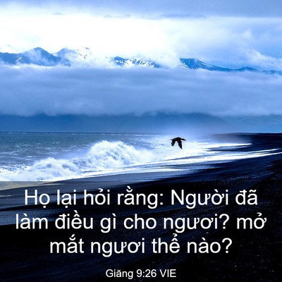 Picture 03 - Giăng 9:26 VIE - Họ lại hỏi rằng: Người đã làm - Bible Verse Picture