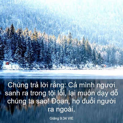 Picture 03 - Giăng 9:34 VIE - Chúng trả lời rằng: Cả mình ngươi - Bible Verse Picture