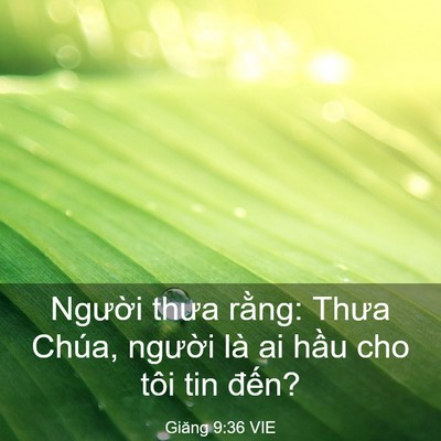 Picture 03 - Giăng 9:36 VIE - Người thưa rằng: Thưa Chúa, người là - Bible Verse Picture