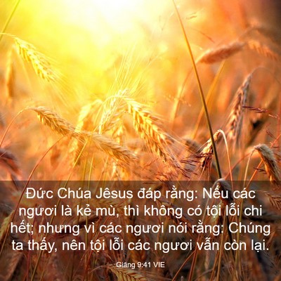 Picture 03 - Giăng 9:41 VIE - Đức Chúa Jêsus đáp rằng: Nếu các - Bible Verse Picture
