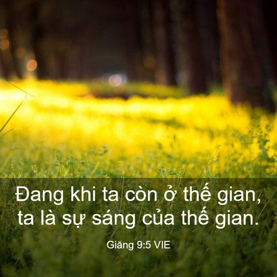 Picture 03 - Giăng 9:5 VIE - Đang khi ta còn ở thế gian, ta là sự - Bible Verse Picture