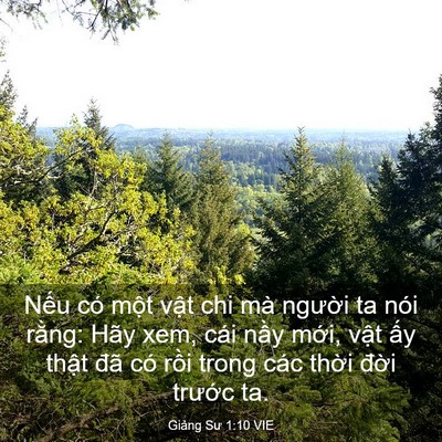 Picture 03 - Giảng Sư 1:10 VIE - Nếu có một vật chi mà người ta nói - Bible Verse Picture