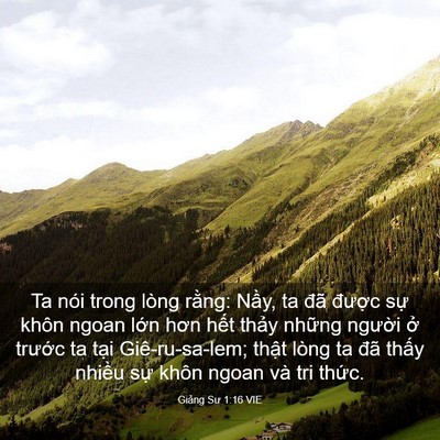 Picture 03 - Giảng Sư 1:16 VIE - Ta nói trong lòng rằng: Nầy, ta đã - Bible Verse Picture