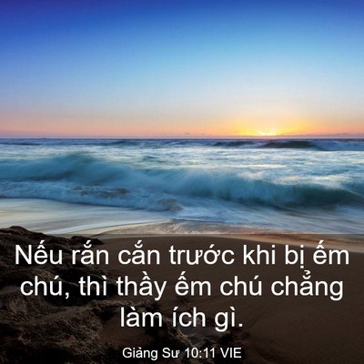 Picture 03 - Giảng Sư 10:11 VIE - Nếu rắn cắn trước khi bị ếm chú, - Bible Verse Picture