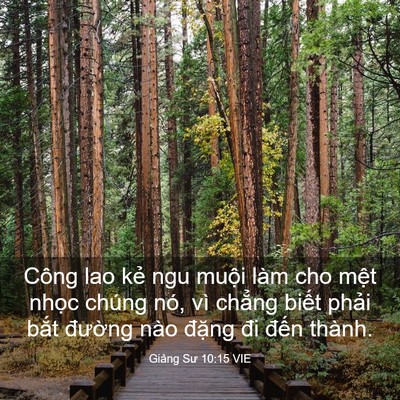Picture 03 - Giảng Sư 10:15 VIE - Công lao kẻ ngu muội làm cho mệt nhọc - Bible Verse Picture