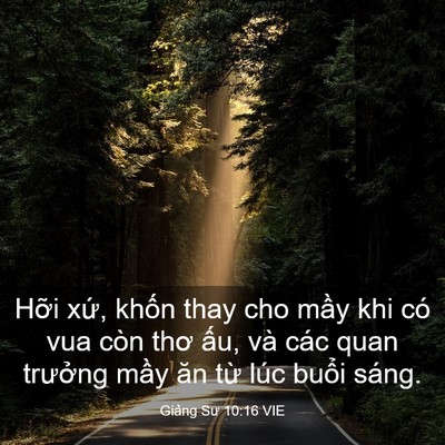 Picture 03 - Giảng Sư 10:16 VIE - Hỡi xứ, khốn thay cho mầy khi có vua - Bible Verse Picture