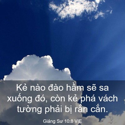 Picture 03 - Giảng Sư 10:8 VIE - Kẻ nào đào hầm sẽ sa xuống đó, còn - Bible Verse Picture