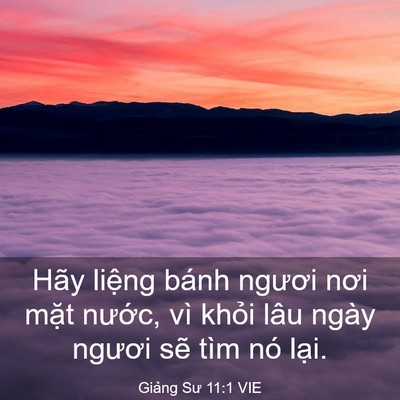 Picture 03 - Giảng Sư 11:1 VIE - Hãy liệng bánh ngươi nơi mặt nước, - Bible Verse Picture