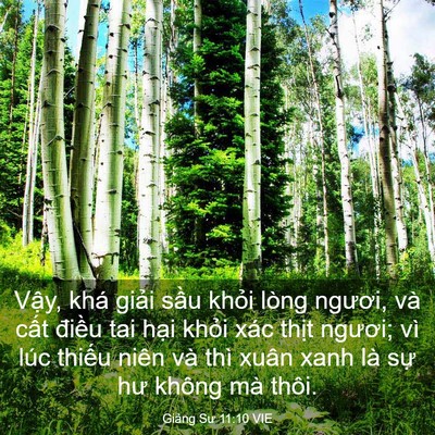 Picture 03 - Giảng Sư 11:10 VIE - Vậy, khá giải sầu khỏi lòng ngươi, - Bible Verse Picture