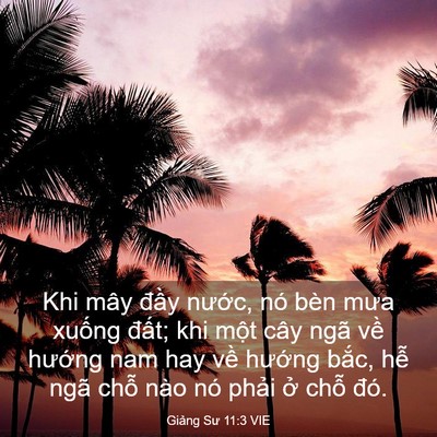 Picture 03 - Giảng Sư 11:3 VIE - Khi mây đầy nước, nó bèn mưa xuống - Bible Verse Picture