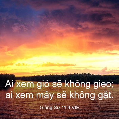 Picture 03 - Giảng Sư 11:4 VIE - Ai xem gió sẽ không gieo; ai xem mây sẽ - Bible Verse Picture