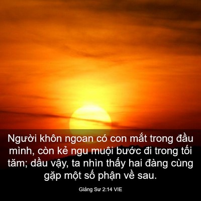 Picture 03 - Giảng Sư 2:14 VIE - Người khôn ngoan có con mắt trong đầu - Bible Verse Picture
