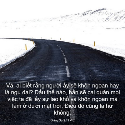Picture 03 - Giảng Sư 2:19 VIE - Vả, ai biết rằng người ấy sẽ khôn - Bible Verse Picture