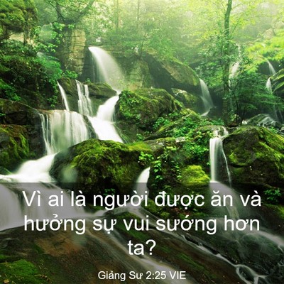 Picture 03 - Giảng Sư 2:25 VIE - Vì ai là người được ăn và hưởng - Bible Verse Picture