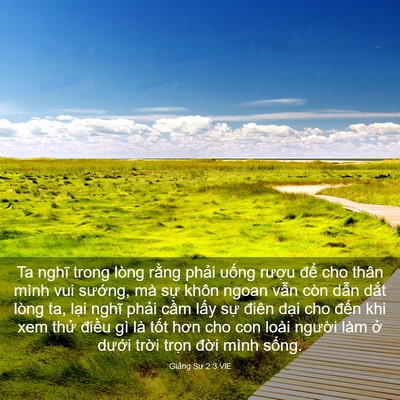 Picture 03 - Giảng Sư 2:3 VIE - Ta nghĩ trong lòng rằng phải uống rượu - Bible Verse Picture
