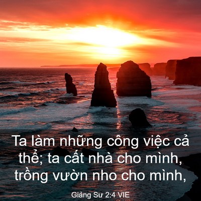 Picture 03 - Giảng Sư 2:4 VIE - Ta làm những công việc cả thể; ta cất - Bible Verse Picture