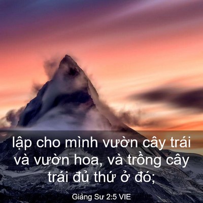 Picture 03 - Giảng Sư 2:5 VIE - lập cho mình vườn cây trái và vườn - Bible Verse Picture